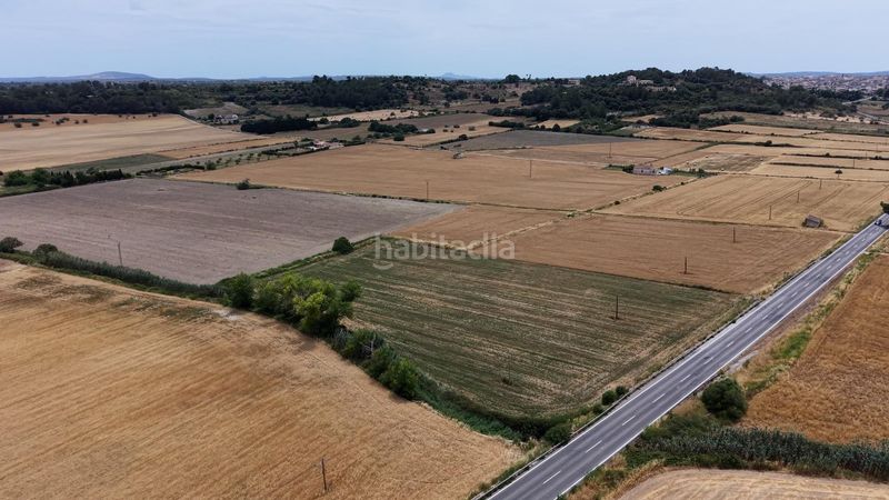 Foto e0846246-4dde-4c35-ba8e-3a0abadb777c. Finca rústica a Santa Margalida poble Santa Margalida