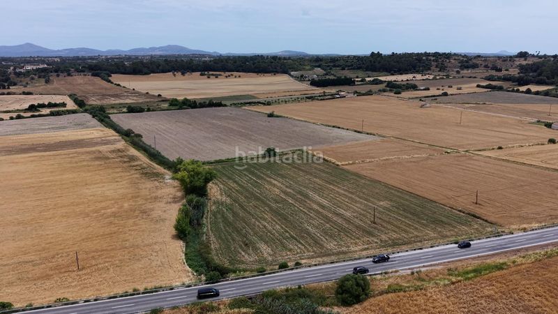 Foto e5beb080-3ac8-4932-b611-26d5acf45b75. Finca rústica a Santa Margalida poble Santa Margalida