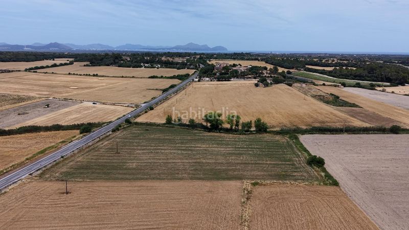Foto f9a08c7b-6c08-402d-84cc-cafe286247e2. Finca rústica a Santa Margalida poble Santa Margalida