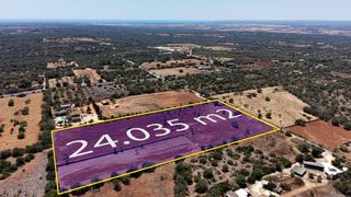 Finca rústica  Camino camí angoixes. Parcela rústica de 24.035 m2 en campos