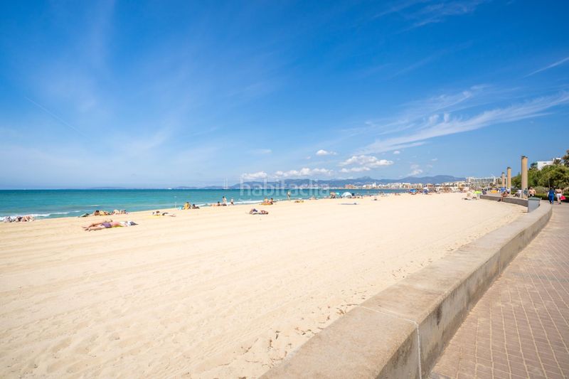 Foto d98d4ec8-dd67-4df7-a924-3e5a6c1f29a1. Pis a S´Arenal Llucmajor