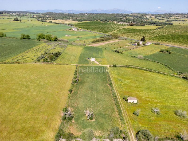 Foto 039702a9-4510-47b1-8493-a292693bd662. Finca rústica a Sineu