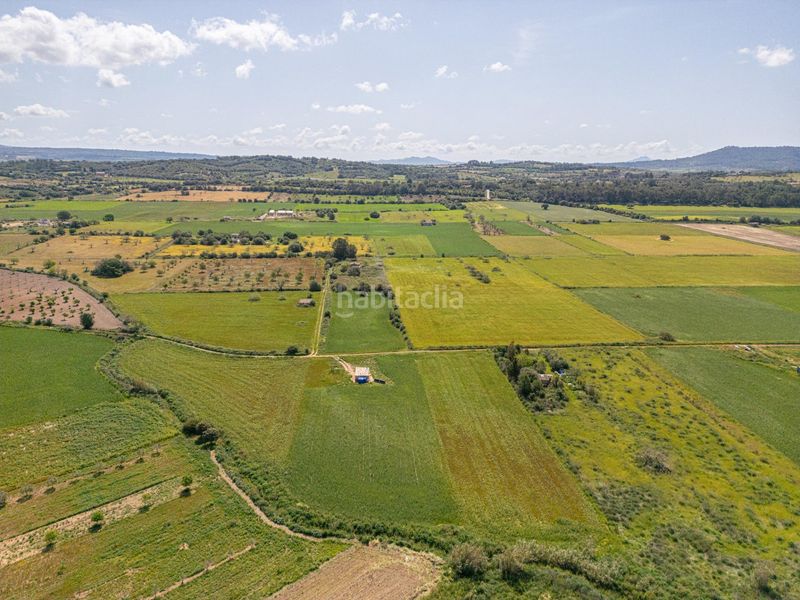 Foto 2a28049e-7cac-4632-bd23-baf49253f2e8. Finca rústica a Sineu