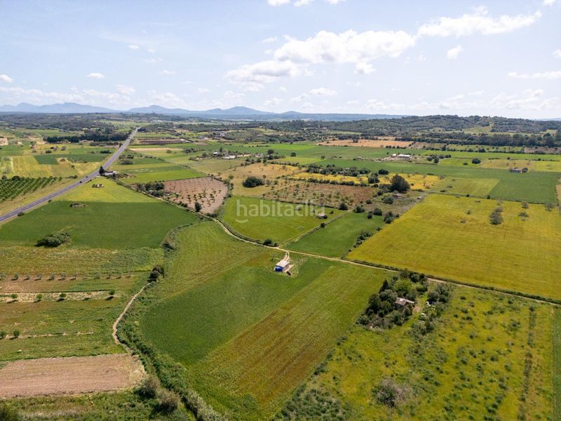 Foto 333e8ca1-6144-4418-b2da-6fe2256976f2. Finca rústica a Sineu