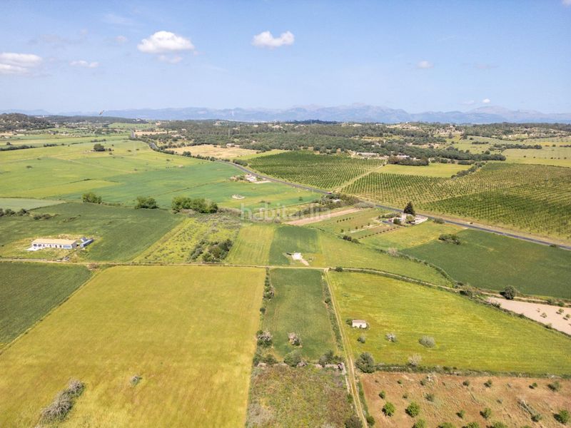 Foto 372833b0-ba99-49b6-be88-3ae9ed4ce0f3. Finca rústica a Sineu