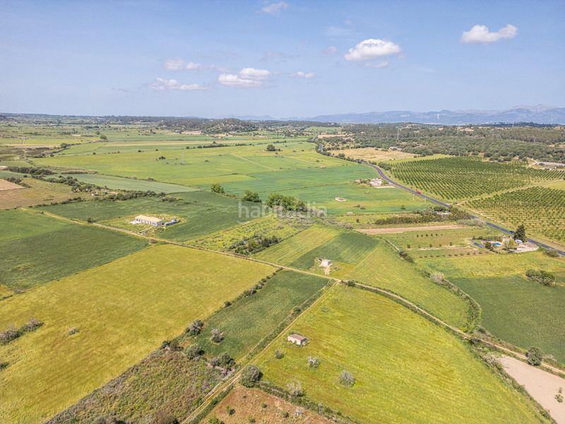 Foto 71a670f6-e407-4ad0-866c-d127cc792250. Finca rústica a Sineu
