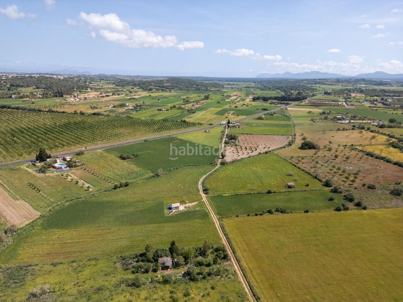 Foto b155219a-7914-42bf-90c3-c7354c33a3b1. Finca rústica a Sineu