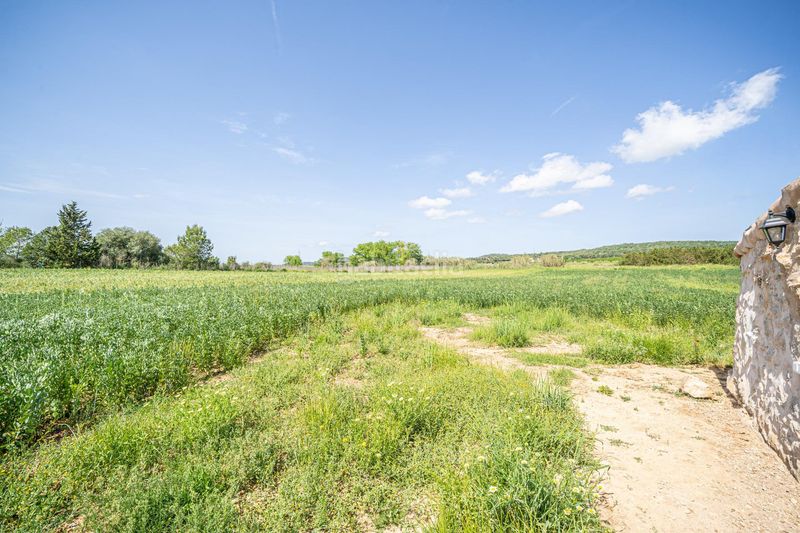 Foto e6b3c860-e742-4aee-b991-54b608644b92. Finca rústica a Sineu