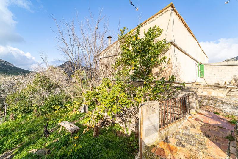 Foto 78abc324-6bae-448b-b65c-df535a9ae132. Casa amb calefacció a Andratx Andratx