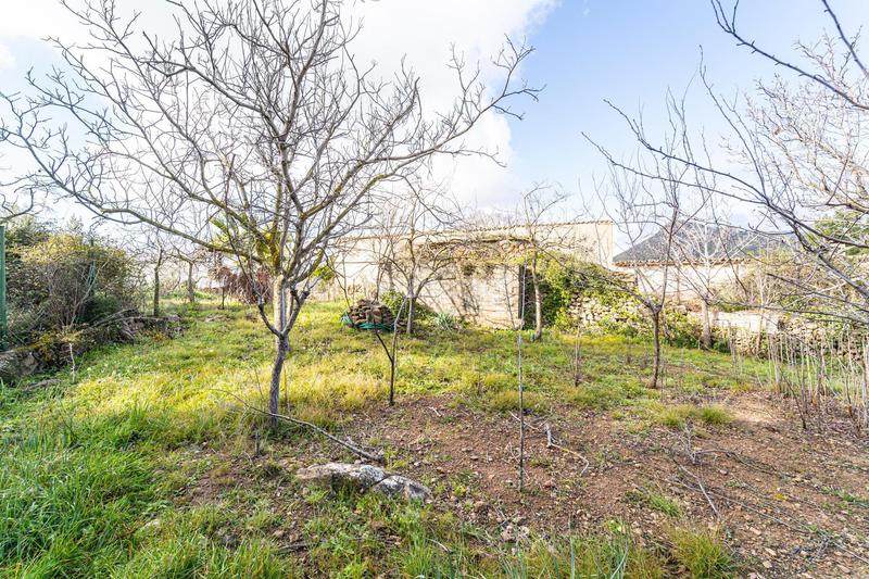 Foto a48d010a-d6fc-4837-a07a-4dca77abea32. Casa amb calefacció a Andratx Andratx