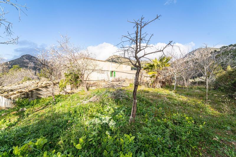 Foto b610654c-d70b-491f-b38e-82ef2ea9a3a5. Casa amb calefacció a Andratx Andratx