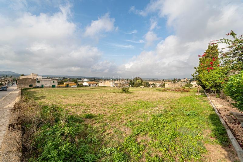 Foto cda43396-9a5b-4b0e-9b2c-bb9b01c210ff. Wohngrundstück in Montuïri