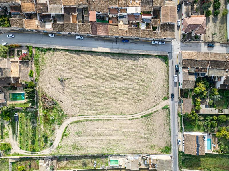 Foto f1218fa9-24c4-4194-b694-fd2d8eb8438b. Wohngrundstück in Montuïri