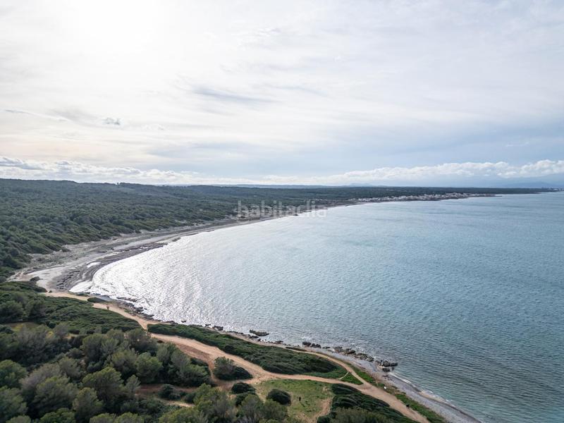 Foto 27545dd4-00b8-40ac-aff3-21b0e937e755. Terreny residencial a Colònia de Sant Pere Artà