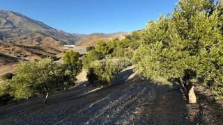 Finca rústica a Gualchos. Terrenos en venta en gualchos