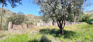 Masia a Órgiva. Casa rural en venta en órgiva
