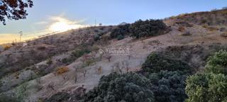 Finca rústica a Albondón. Terrenos en venta en albondón