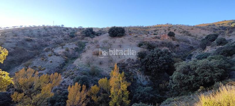 Foto ab54cf5b-a43b-48b0-af15-d13883628ca0. Finca rústica a Albondón