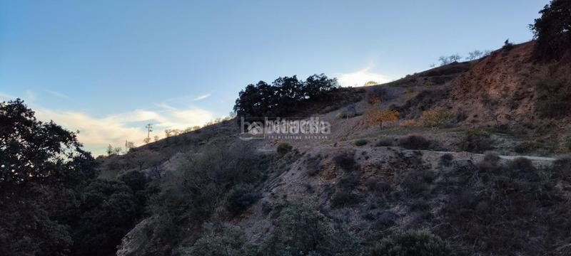 Foto e64f28bf-1458-4e74-b31d-1b7e455500c7. Finca rústica a Albondón