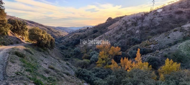 Foto ef201867-3749-4e64-a8e6-1c858f4647c5. Finca rústica a Albondón