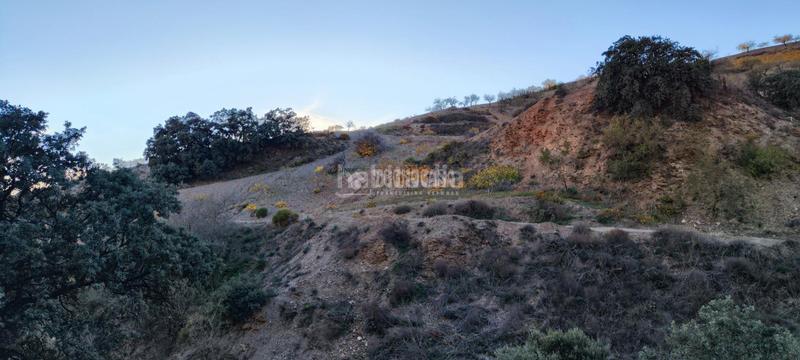 Foto f0250c26-97fb-47b4-96c9-9a95082139c0. Finca rústica a Albondón