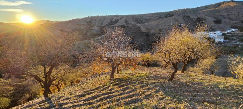 Foto 35866436-4ff9-4aa4-bf9b-e3426d190e53. Finca rústica a Albondón