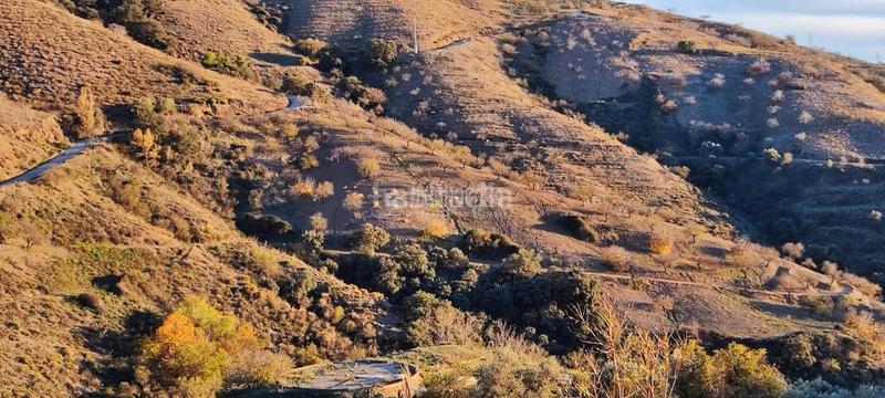 Foto a20b05f5-6c1b-459e-b708-e2572e148866. Finca rústica a Albondón