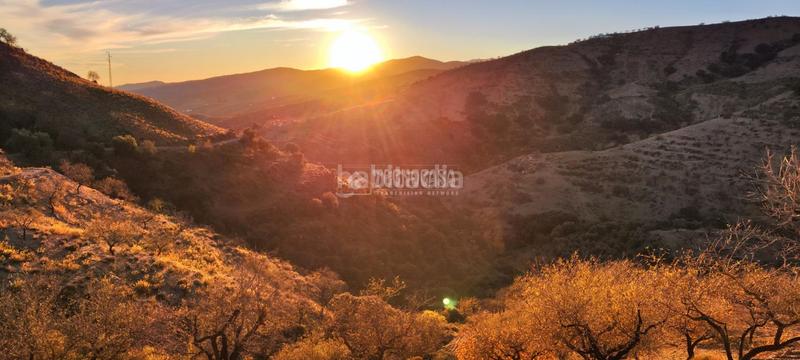 Foto a8264133-fc51-4407-988a-e8a129814758. Finca rústica a Albondón