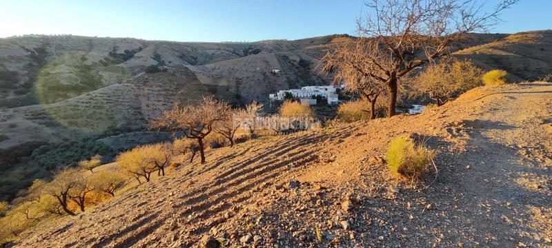 Foto a919a729-a87e-4232-a265-1638f0377669. Finca rústica a Albondón