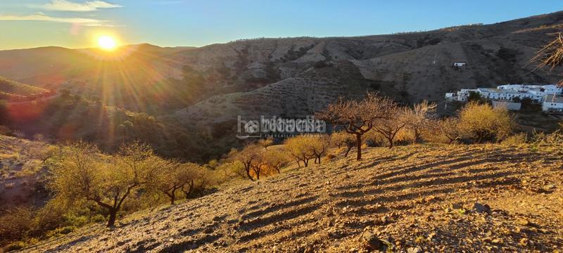 Foto e7e6a08a-2963-4b42-bf9b-d5f5539e3445. Finca rústica a Albondón