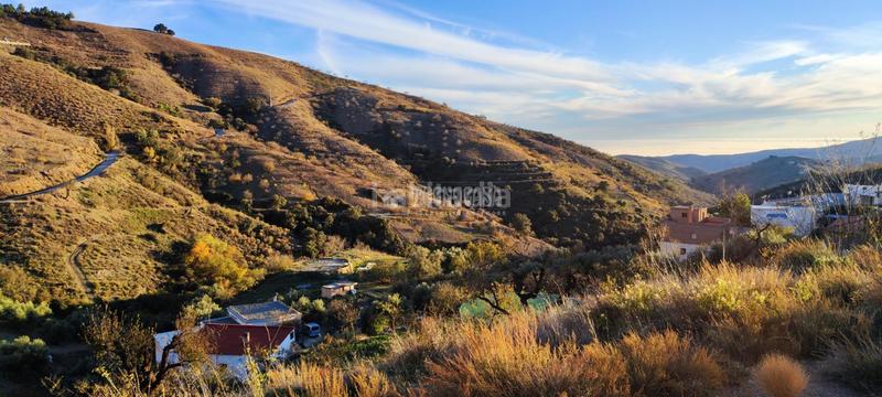 Foto fce96536-8885-45d3-9266-df83f8dcb3a1. Finca rústica a Albondón