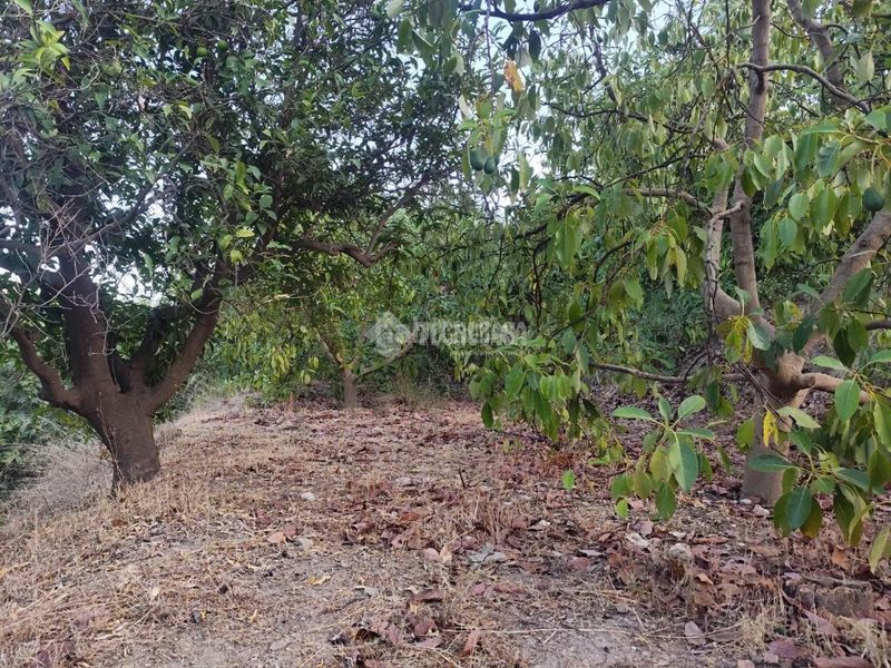 Foto 3b0501f4-e4f8-4a51-9b7d-c750d25d6bcd. Finca rústica a Guájares (Los)