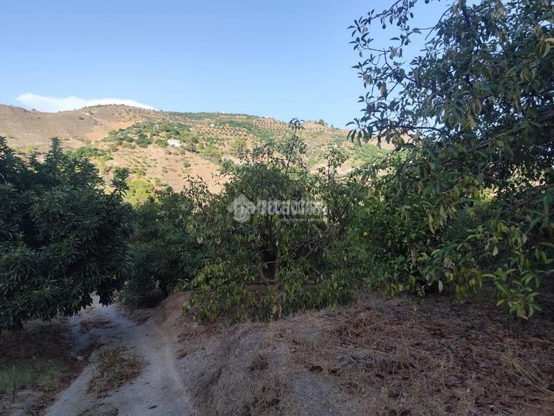 Foto 3ff952af-76be-4252-973b-adc11a46d727. Finca rústica a Guájares (Los)