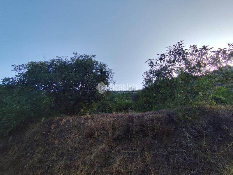 Foto 41bd0ece-fae3-4c5c-a7a1-4aa80059acac. Finca rústica a Guájares (Los)