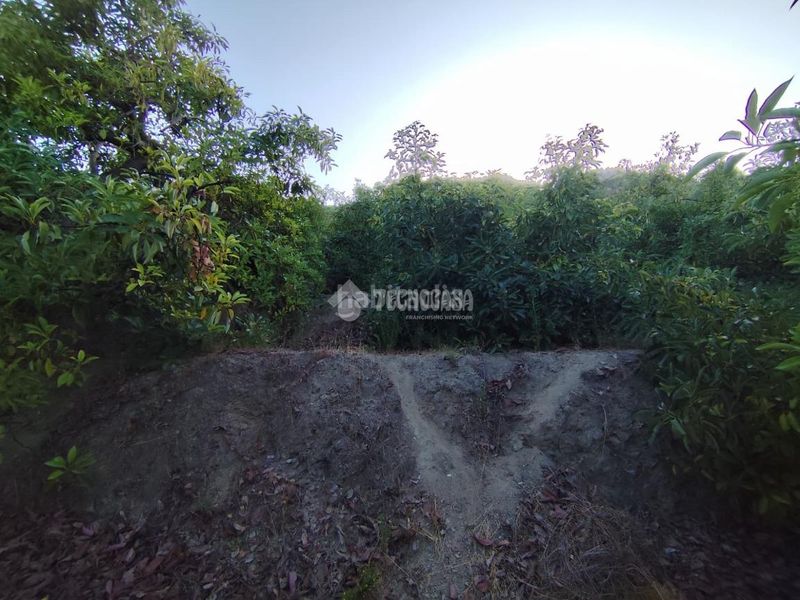 Foto 4ae59290-ab24-42f4-a52b-17ded0acee9c. Finca rústica a Guájares (Los)