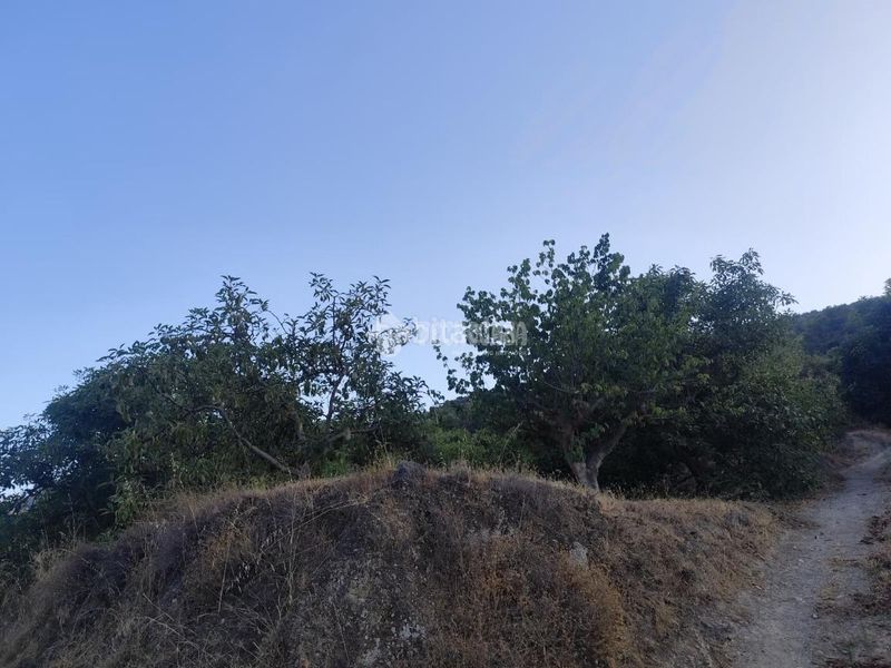 Foto c5d08f43-4279-4c68-ba99-7cfcecfcf1af. Finca rústica a Guájares (Los)