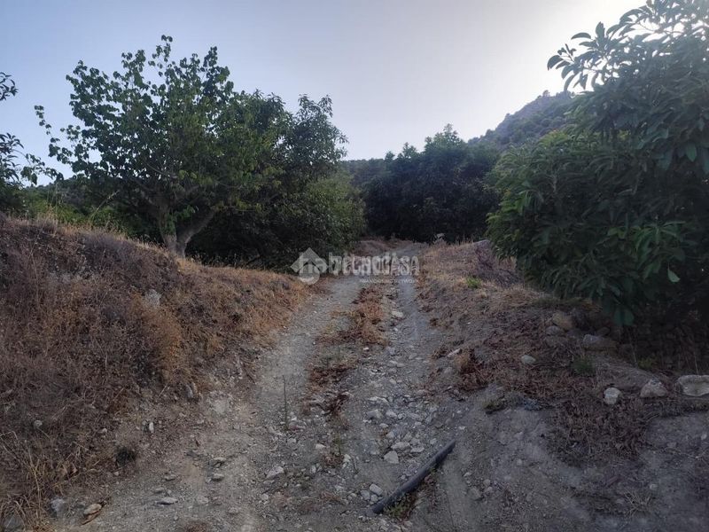 Foto f15bd7e1-a620-4057-92b9-6b91072825f9. Finca rústica a Guájares (Los)