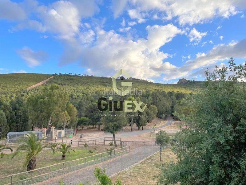 Foto 0d9c8a5c-55bf-425d-86da-0fb9ea19afeb. Terreny residencial a Cañaveral