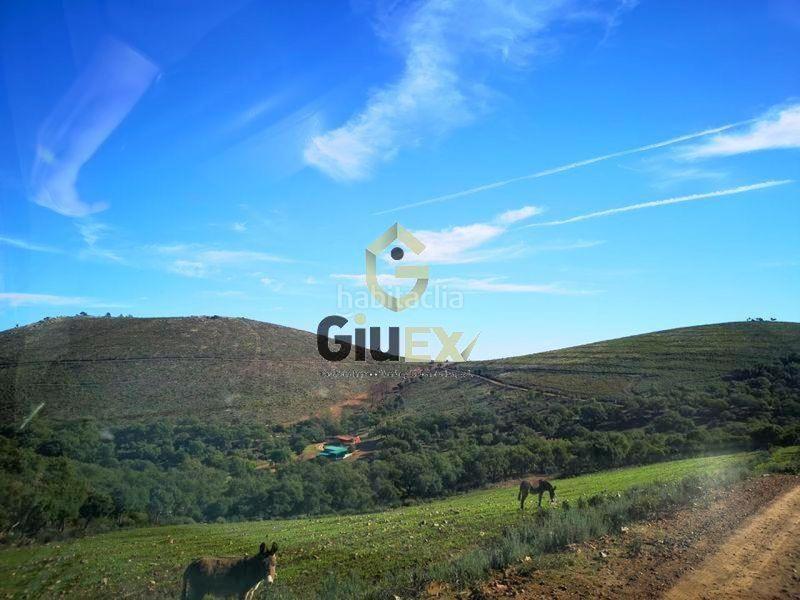 Foto 2a4c18e5-e58a-480b-b4ef-a2ddd8a9c33f. Terreny residencial a Cañaveral