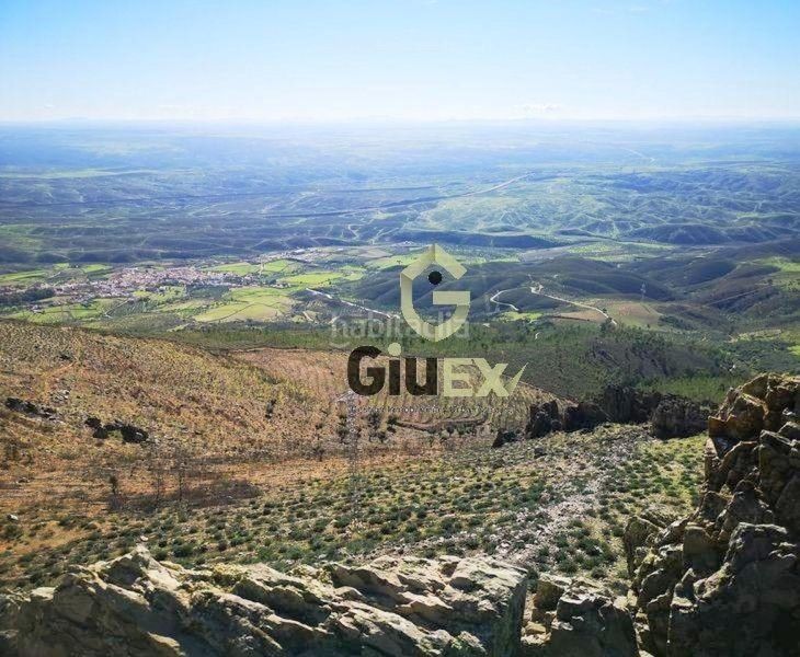 Foto eeb25016-2e12-439b-b2f0-46b1bb45e882. Finca rústica a Cañaveral