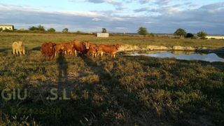 Rural plot in Valdesalor - Rincón de Ballesteros