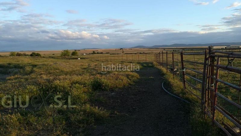 Foto 4726738a-545e-41f0-9752-dadf59418596. Finca rústica a Valdesalor - Rincón de Ballesteros Cáceres