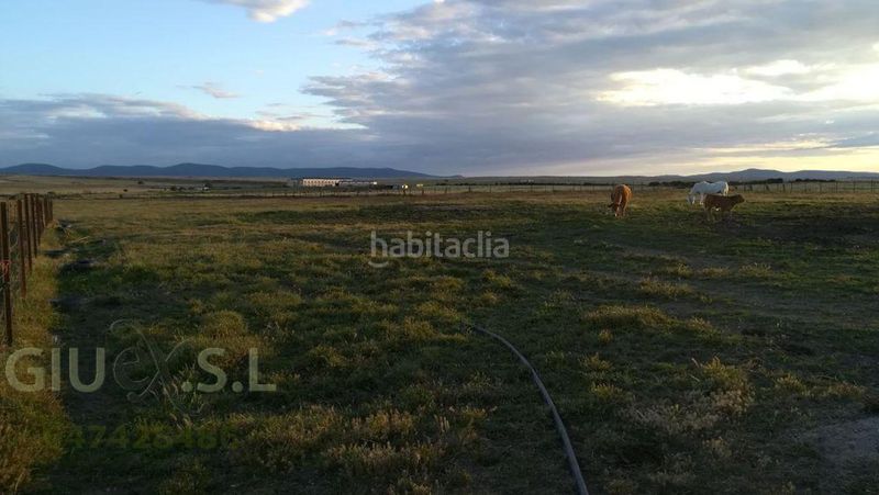 Foto 48583e8b-184f-49dd-984f-df9868c93b8f. Finca rústica a Valdesalor - Rincón de Ballesteros Cáceres
