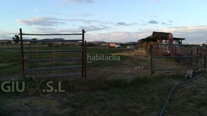 Foto 6961417a-6d2c-439f-bf33-21e6d352314c. Finca rústica a Valdesalor - Rincón de Ballesteros Cáceres