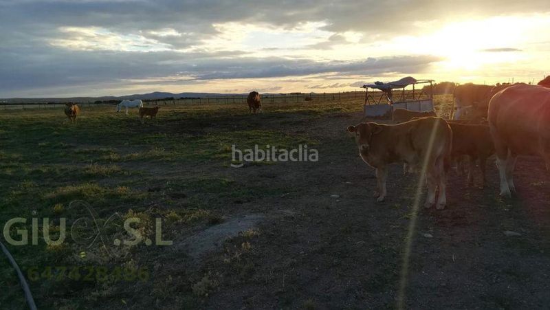 Foto 78f05fde-24f5-42b2-b99a-4936d2965eb0. Finca rústica a Valdesalor - Rincón de Ballesteros Cáceres