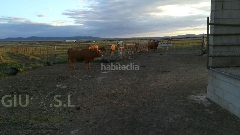 Foto b53631a7-f00b-4841-ac29-ab8ca6c8b351. Finca rústica a Valdesalor - Rincón de Ballesteros Cáceres