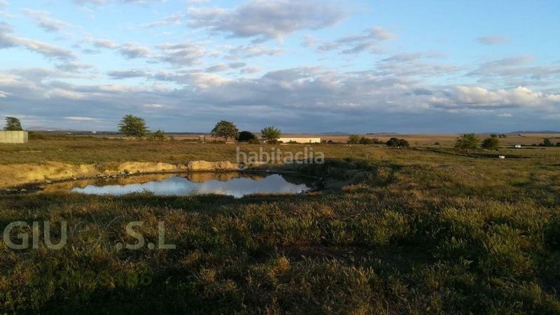 Foto 7645ac72-55ba-417b-8648-fe193712af00. Finca rústica en Valdesalor - Rincón de Ballesteros Cáceres