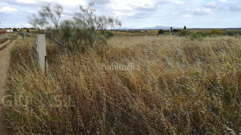 Foto f352ce7d-0258-43cf-aec2-98c6fcdf457a. Finca rústica en Valdesalor - Rincón de Ballesteros Cáceres