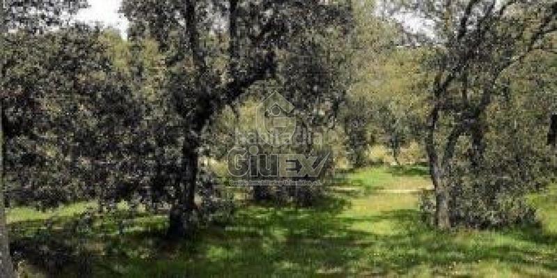 Foto 21d07261-ecf4-4466-8bba-fd43a8ed025a. Terreno residencial en Pozuelos de Calatrava (Los)