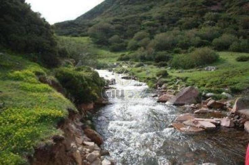 Foto 810ec6a4-5306-4614-87cd-ee96dc265dc0. Terreno residencial en Pozuelos de Calatrava (Los)